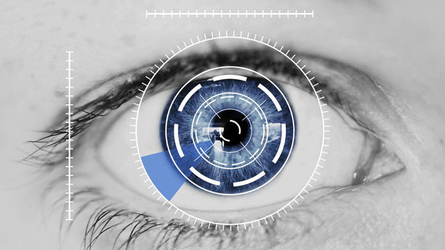 Точность биометрической идентификации по радужной оболочке глаза выше |